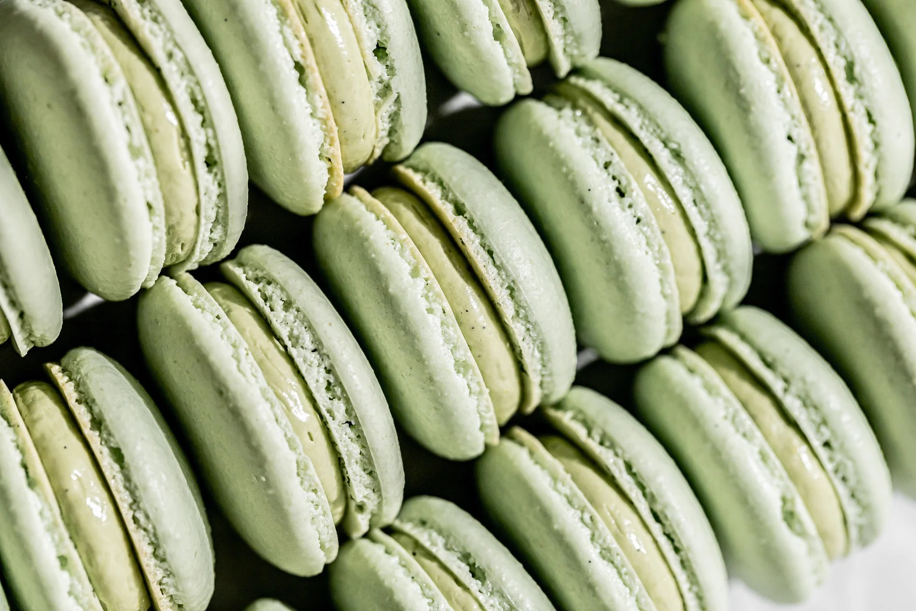 Pistachio macarons arranged in rows